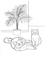 disegni/gatti/gatti_cats_ 30.jpg